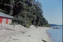 View north along the beach